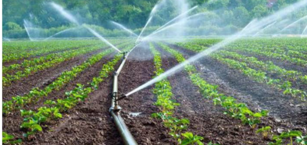 WT Pro Irrigation & Livestock